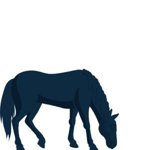 Silhouette of horse grazing.