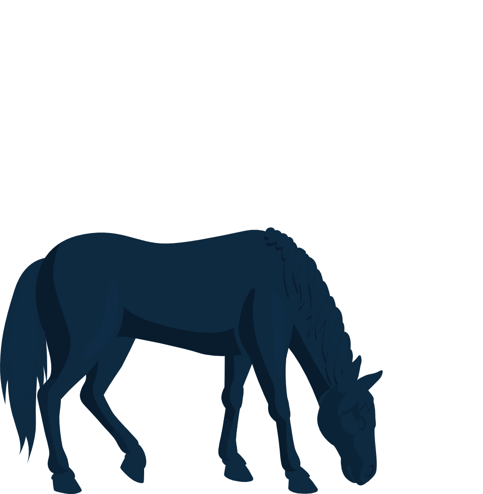Silhouette of horse grazing.