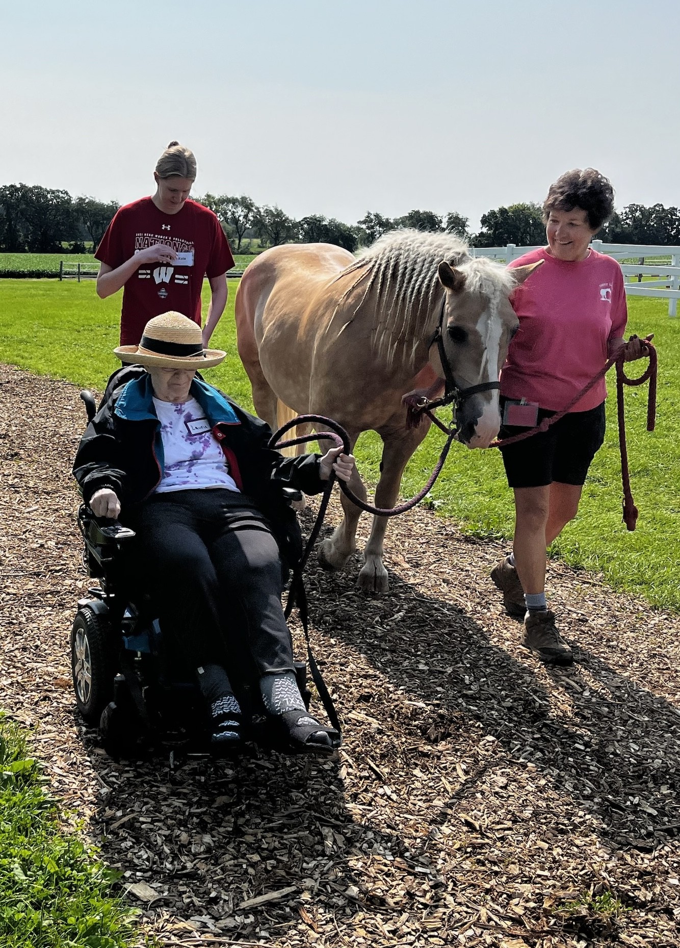 Cindy Frank Woman in wheelchair guided by a horse and assistants.