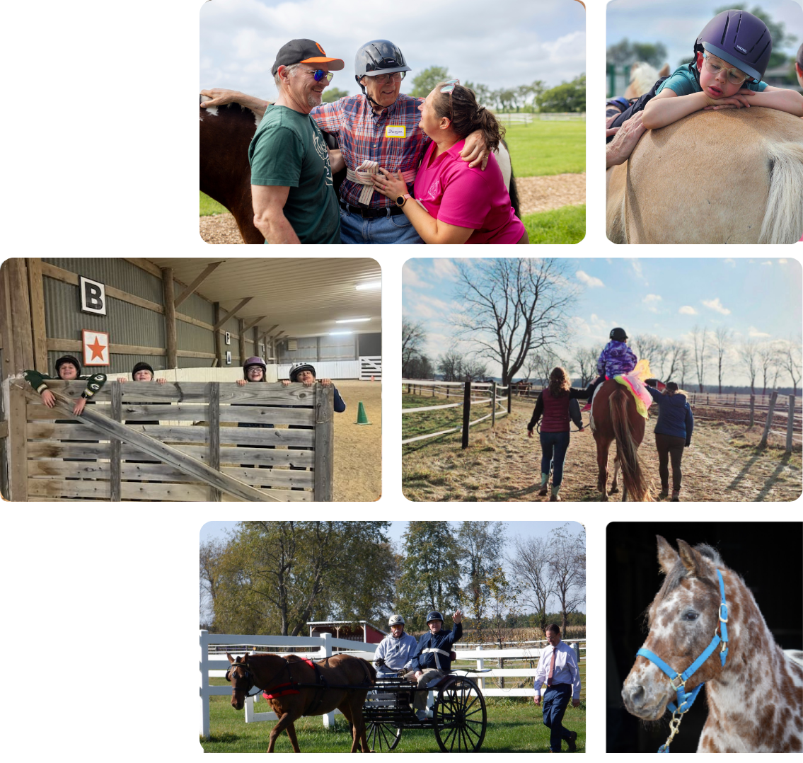 Inclusive horse riding and therapy activities.